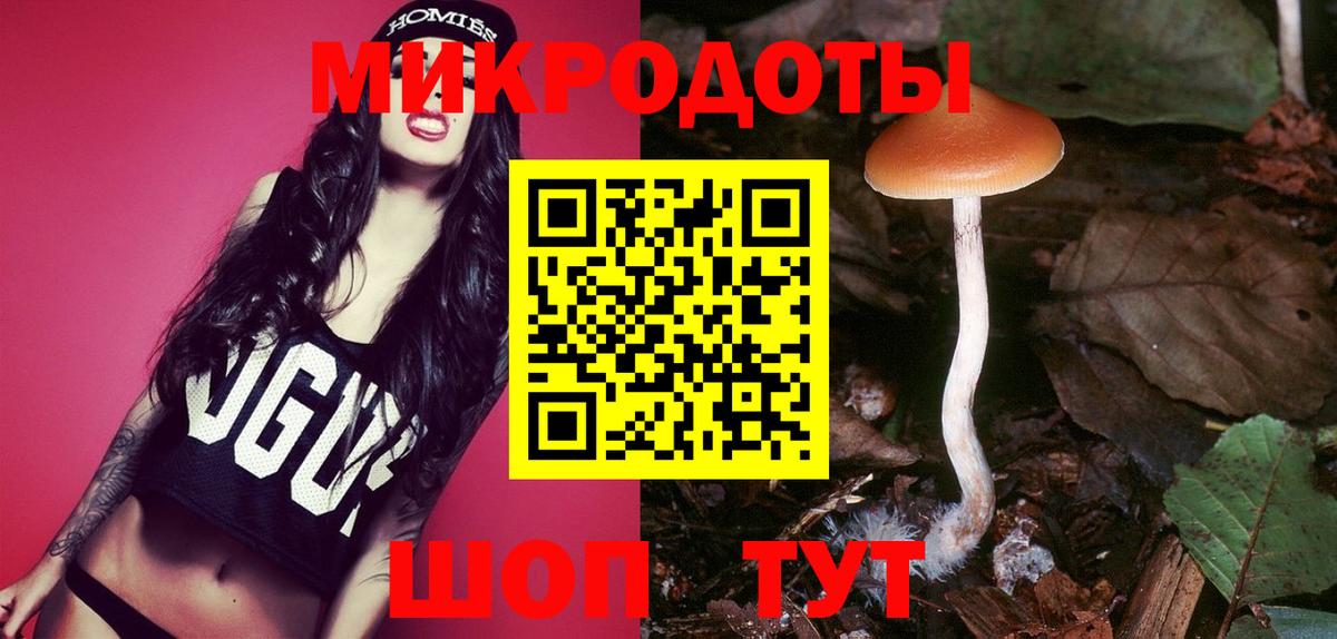 закладка  Псилоцибиновые грибы MAGIC MUSHROOMS  Вход с VPN  Острогожск 